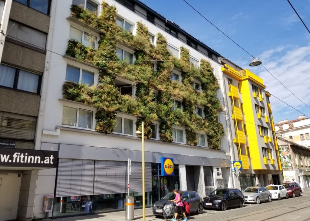 Vienna Exchange Program: Municipal programs to mitigate Urban Heat Island Effect