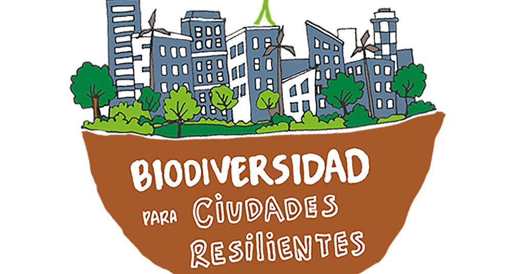 La hoja verde del día después del COVID-19: biodiversidad para ciudades resilientes - Webinar Red de Ciudades BID
