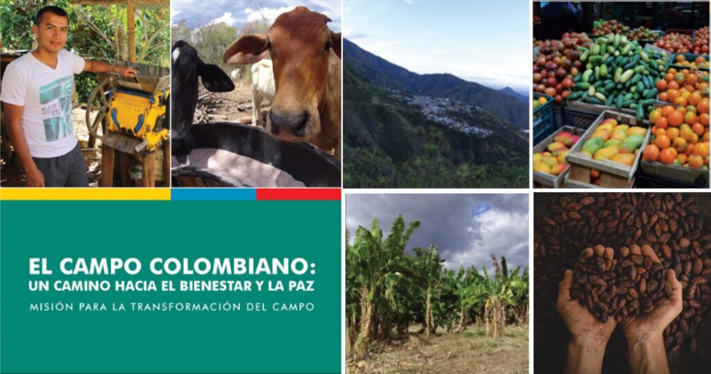 imagenes del campo colombiano, con vacas, café, palmeras y verduras