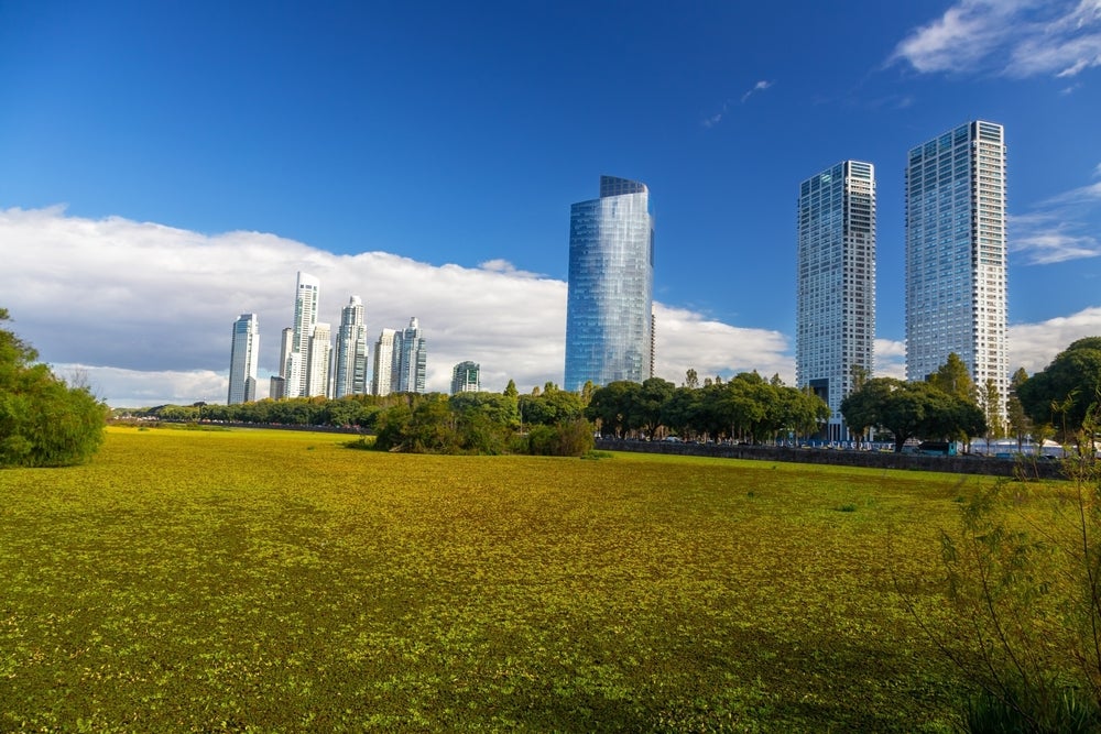 Skyscrappers in  Buenos Aires Ecological Reserve “Costanera Sur”