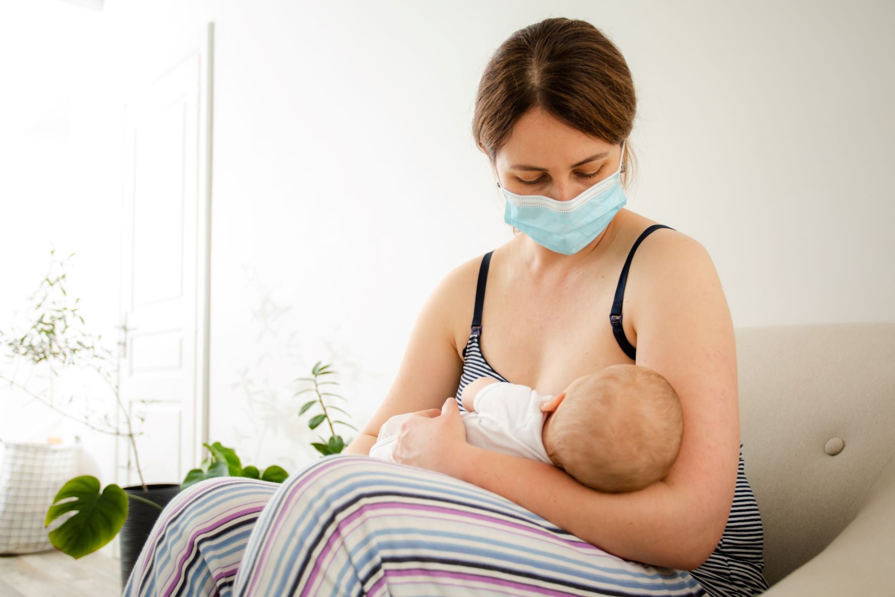 La lactancia materna en la lucha contra el COVID-19 para los más pequeños -  Primeros Pasos