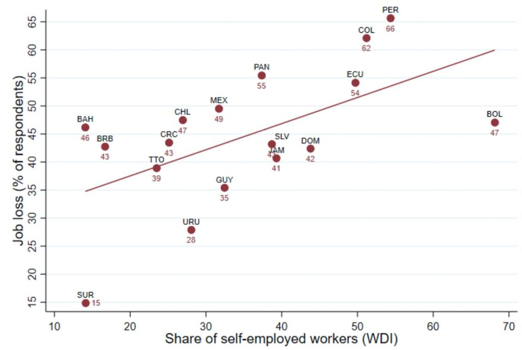 Job Loss and Self-Employment