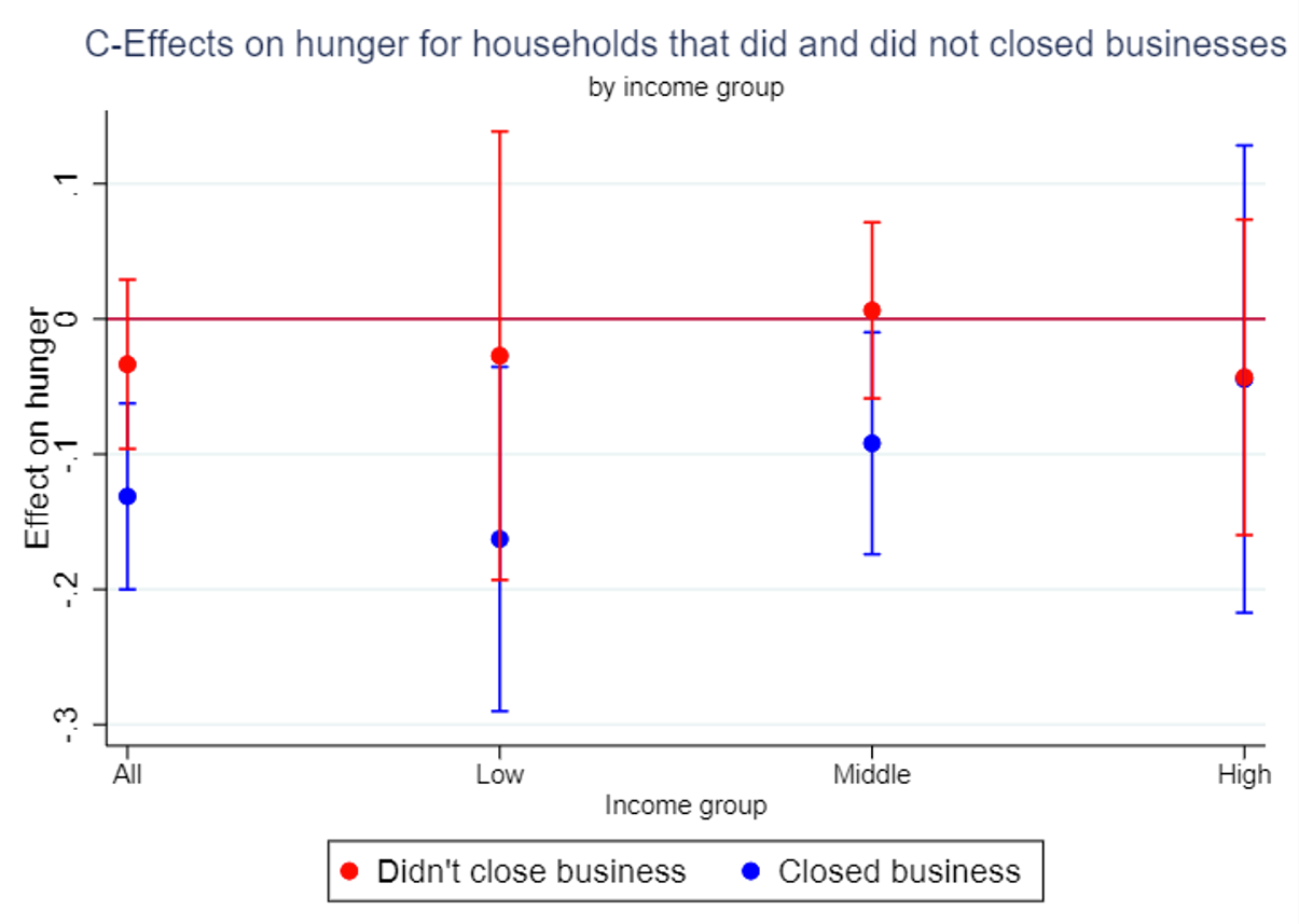 Effects of the program on hunger, by income and exposure to business closures