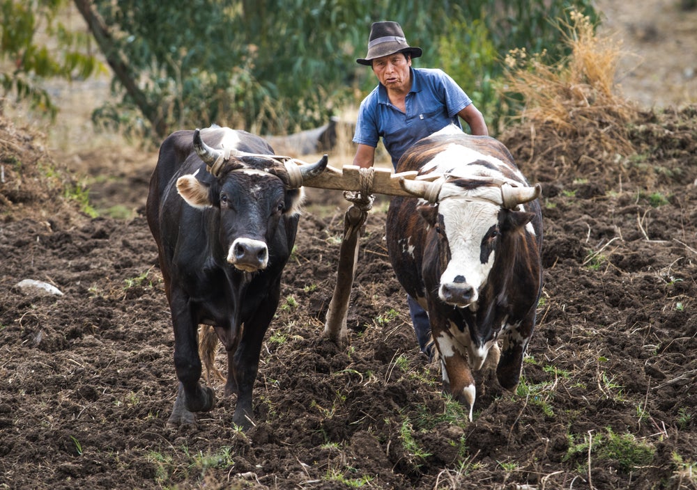 La economía del comportamiento puede ayudar a los agricultores a prepararse para el cambio climático