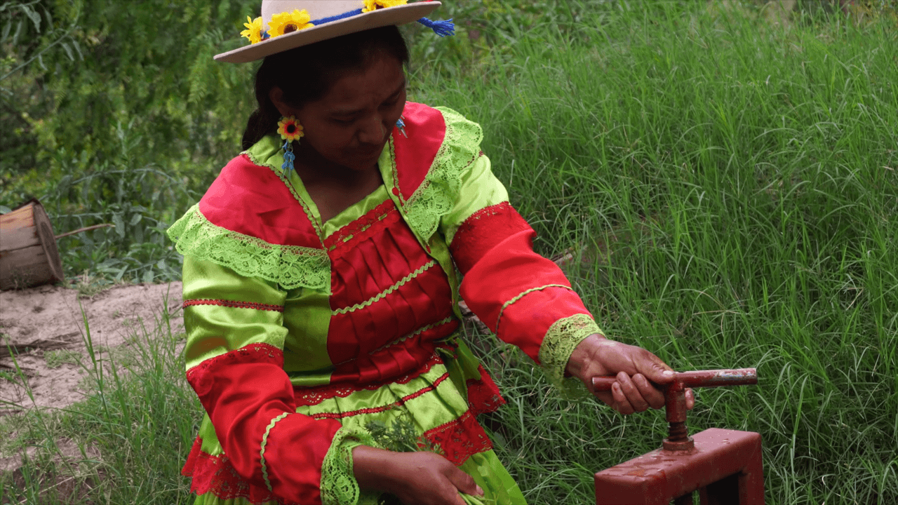 Gender mainstreaming in Bolivia