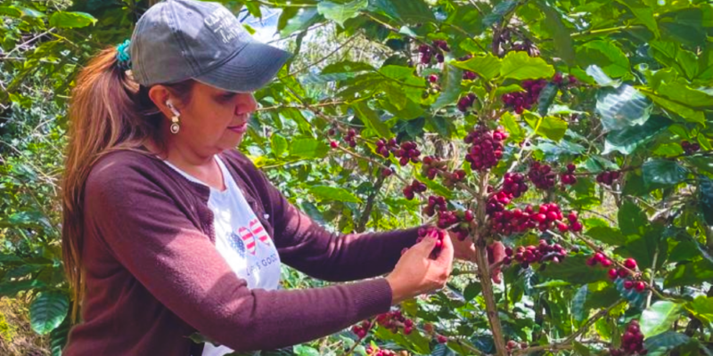 Mujer hondureña trajando con una planta de café.