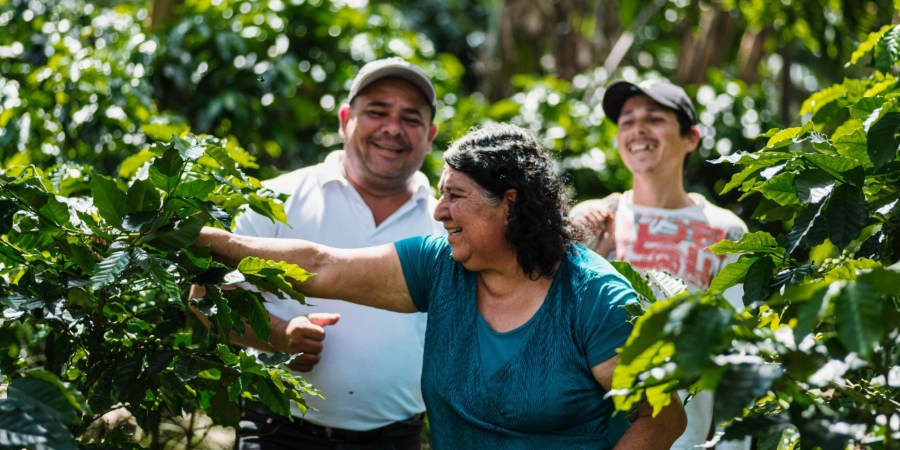 Mujer latinoamericana trabajando en medio de árboles