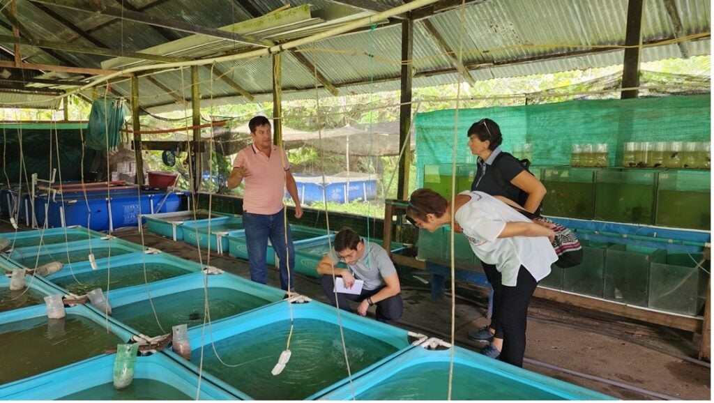 piscicultura-amazonia