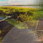 turismo-amazonia