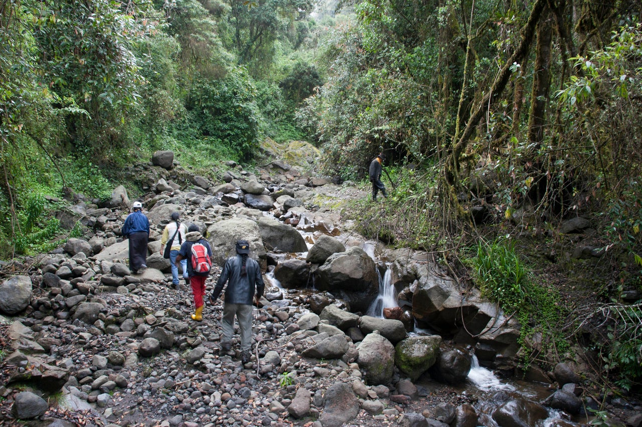 Grupo de migrantes atravesando la selva del Darién