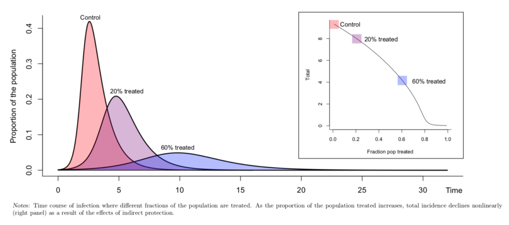 Grafico-1-1024x454.png