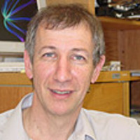 Marcelo Bergman