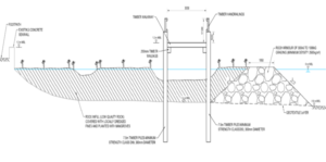 section through boardwalk and mangroves 