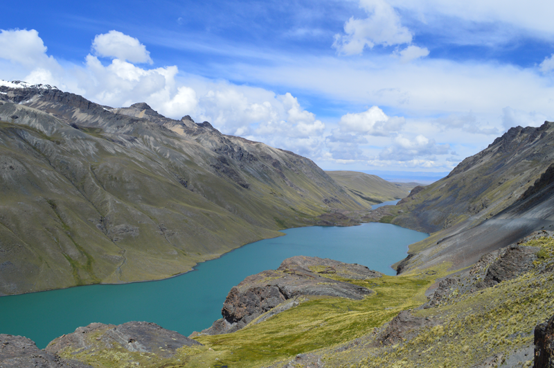 ¿Quieres saber lo esencial para la gestión socioambiental de proyectos?