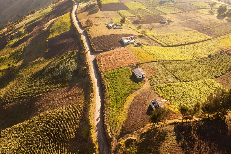 El doble papel de la agricultura en la acción climática - Sostenibilidad