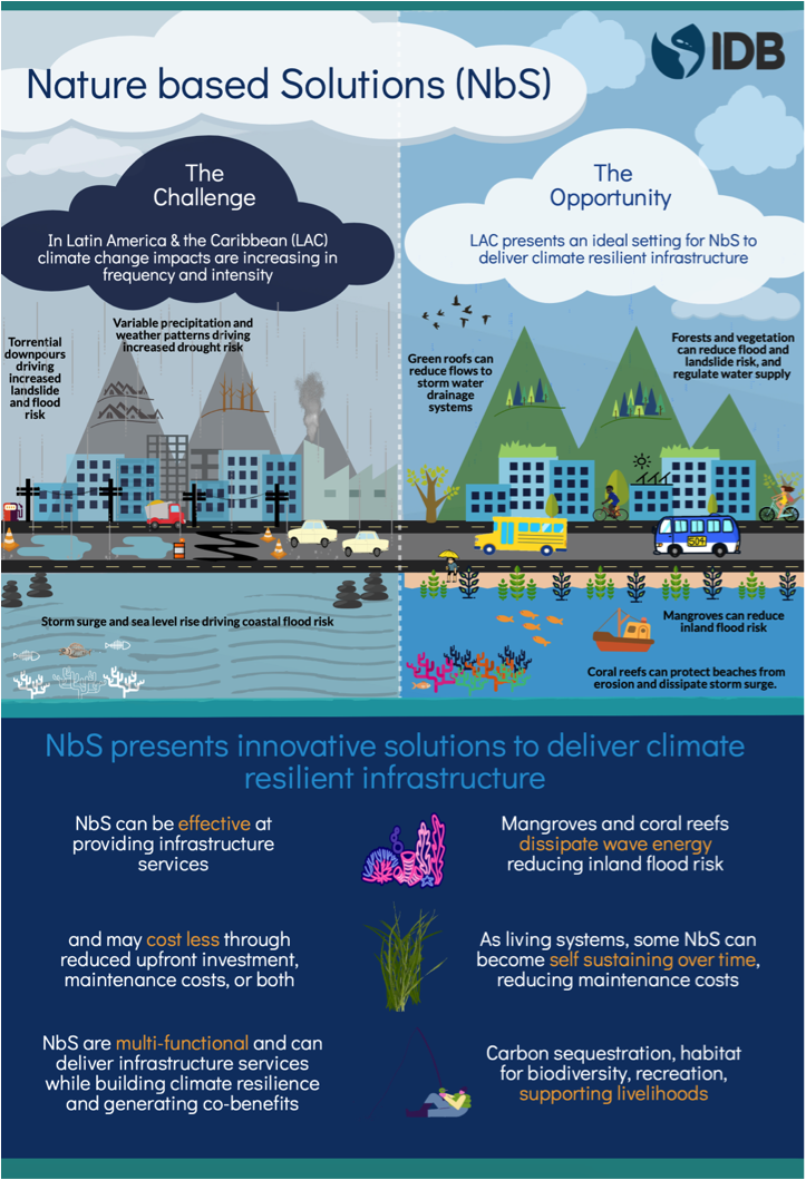 https://blogs.iadb.org/sostenibilidad/wp-content/uploads/sites/26/2020/02/NBS-Infographic.png