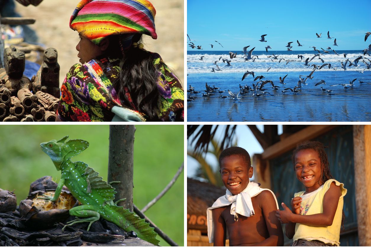 BRASIL: UM AMBIENTE E SUA GENTE - QUIZ