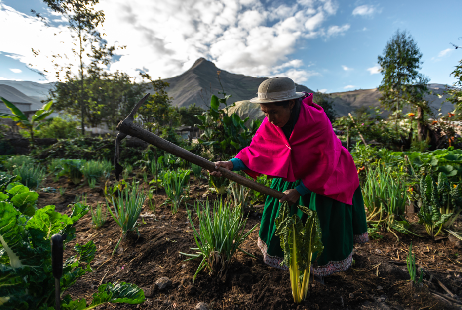 Cómo la seguridad de tenencia de tierras empodera a pequeñas agricultoras y aumenta la seguridad alimentaria: el caso de Ecuador