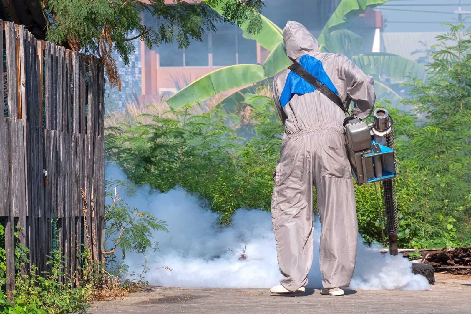 Rear view of healthcare worker spraying insecticide
Persona con traje de seguridad esparciendo insecticida